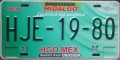 Nummernschilder / Kfz-Kennzeichen Mexiko 2001 2000er Hidalgo