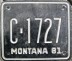 Nummernschilder / Kfz-Kennzeichen USA 1981 1980er Montana MT